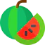 Watermelon icon 64x64
