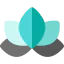 Lotus icon 64x64