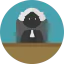 Judge icon 64x64