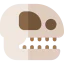 Fossil icon 64x64