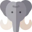 Mammoth icon 64x64