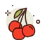 Cherry icon 64x64