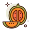 Cantaloupe icon 64x64