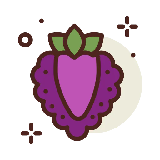 Raspberry icon