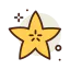 Starfruit icon 64x64