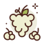 Grapes icon 64x64