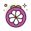 Mangosteen icon 64x64