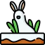 Bunny icon 64x64