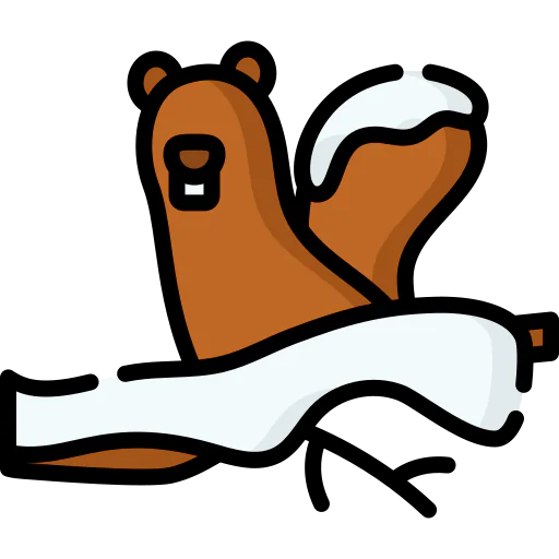 Squirrel icon