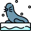 Seal icon 64x64