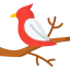 Bird icon 64x64