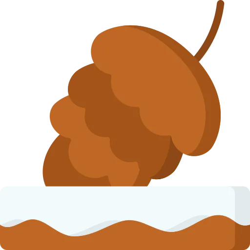 Pine cone icon