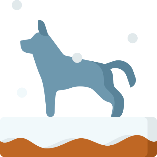 Wolf icon