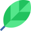 Leaf Symbol 64x64