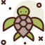Turtle icon 64x64