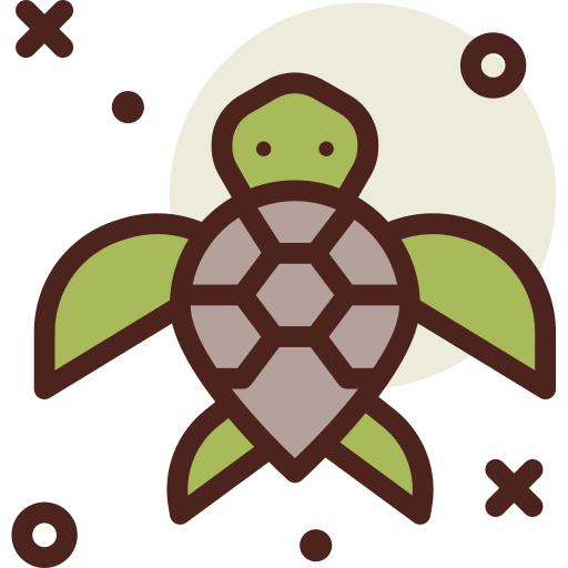 Turtle 상