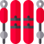 Ski icon 64x64