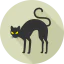Black cat icon 64x64