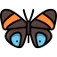 Butterfly icon 64x64