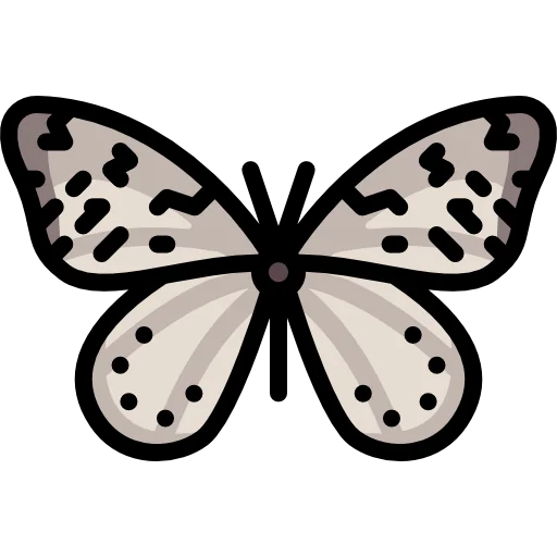 Butterfly icon