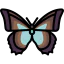 Butterfly icon 64x64