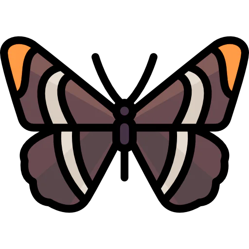 Butterfly icon