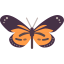 Butterfly icon 64x64