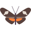 Butterfly icon 64x64