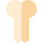 Bone icon 64x64