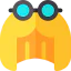 Wig icon 64x64