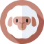 Sheep icon 64x64