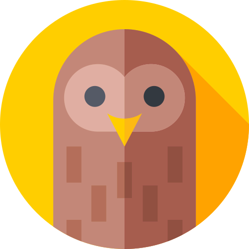 Owl icon