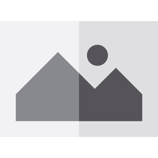 Image icon
