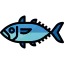 Tuna icon 64x64