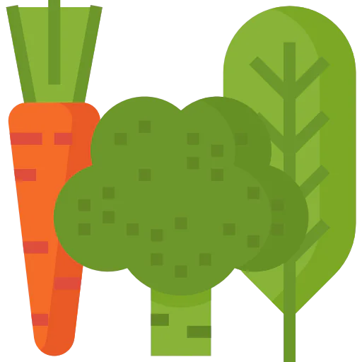 Vegetables icon