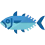 Tuna icon 64x64