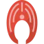 Salmon icon 64x64