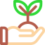 Sprout icon 64x64