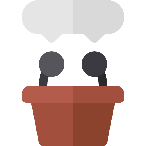 Presentation icon