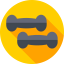 Dumbbell icon 64x64