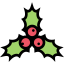 Mistletoe icon 64x64