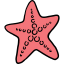 Starfish icon 64x64