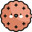 Biscuit icon 64x64