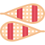 Snowshoes icon 64x64