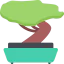 Bonsai icon 64x64