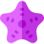Starfish icon 64x64