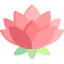 Lotus flower icon 64x64