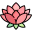 Lotus flower icon 64x64