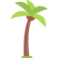 Palm tree icon 64x64