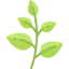 Herb icon 64x64